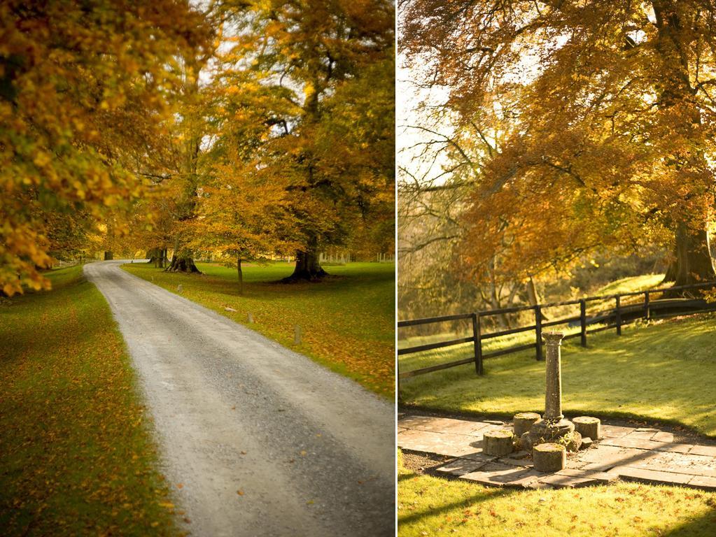 Ballyduff House Томастаун Номер фото